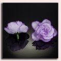 Róża główka 12 szt 4 cm Lt.lilac Edge